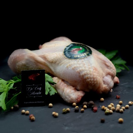 Pollo entero (estirpe rústica/crianza selecta)