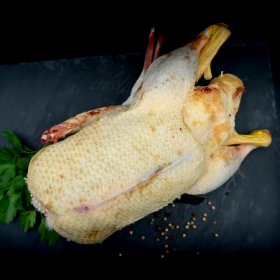 Pato entero